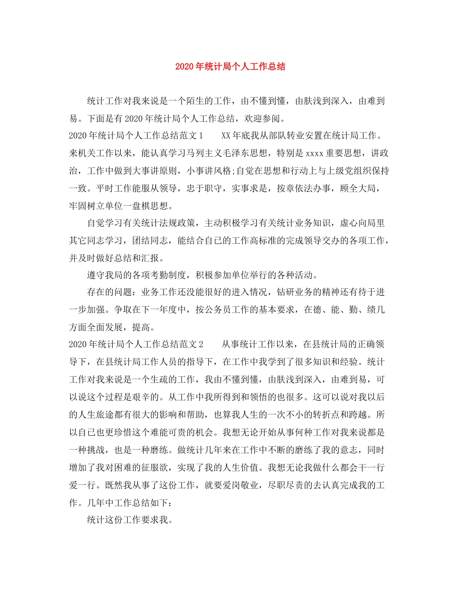 2020年统计局个人工作总结_第1页