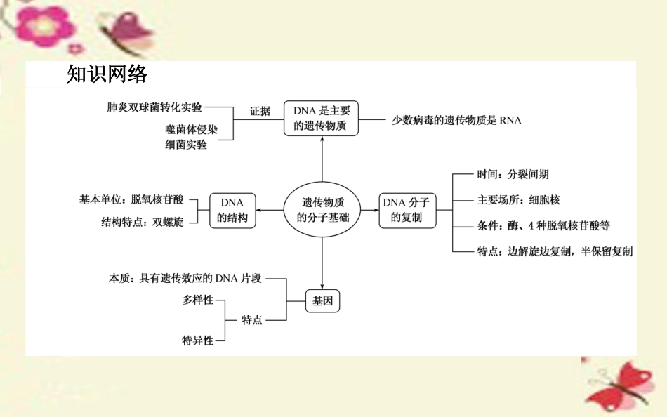 2015-2016高中生物第3章《基因的本质》章末总结课件新人教版必修2_第2页