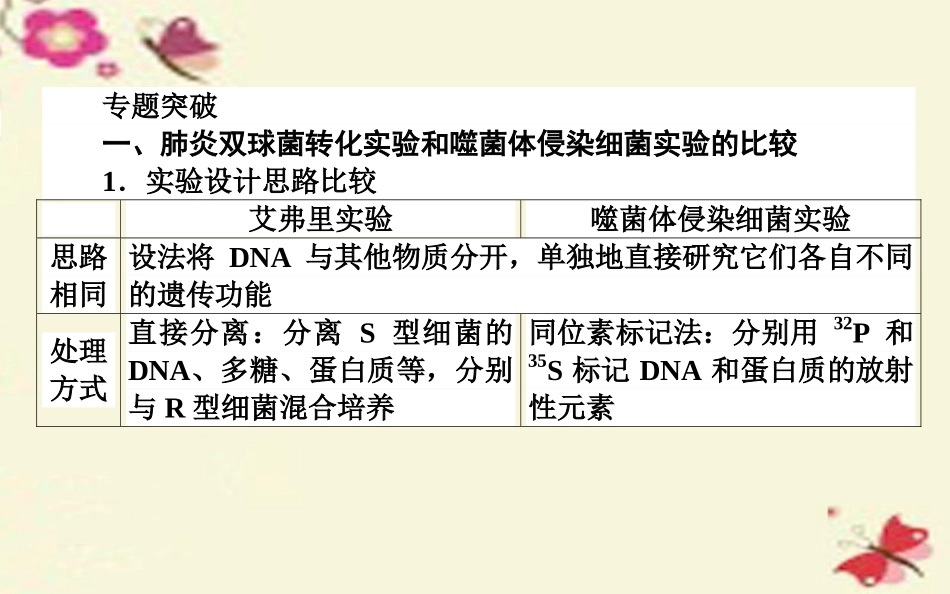 2015-2016高中生物第3章《基因的本质》章末总结课件新人教版必修2_第3页
