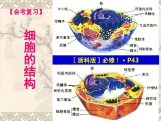 高中生物会考复习：《细胞结构与功能》课件