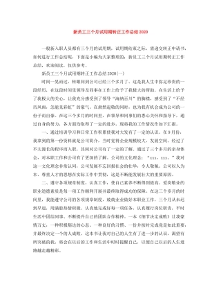 新员工三个月试用期转正工作总结2