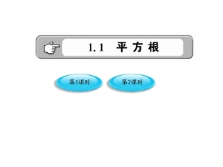 2011版初中数学新课标金榜学案课件：111《平方根》(湘教版八年级上)