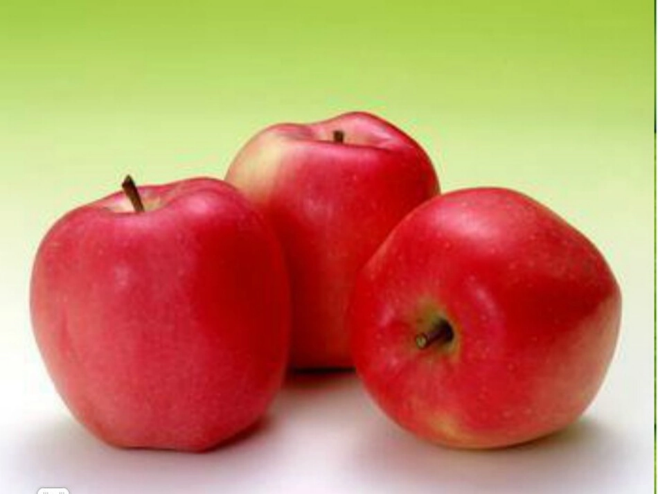 说明文作文教学PPt_第3页