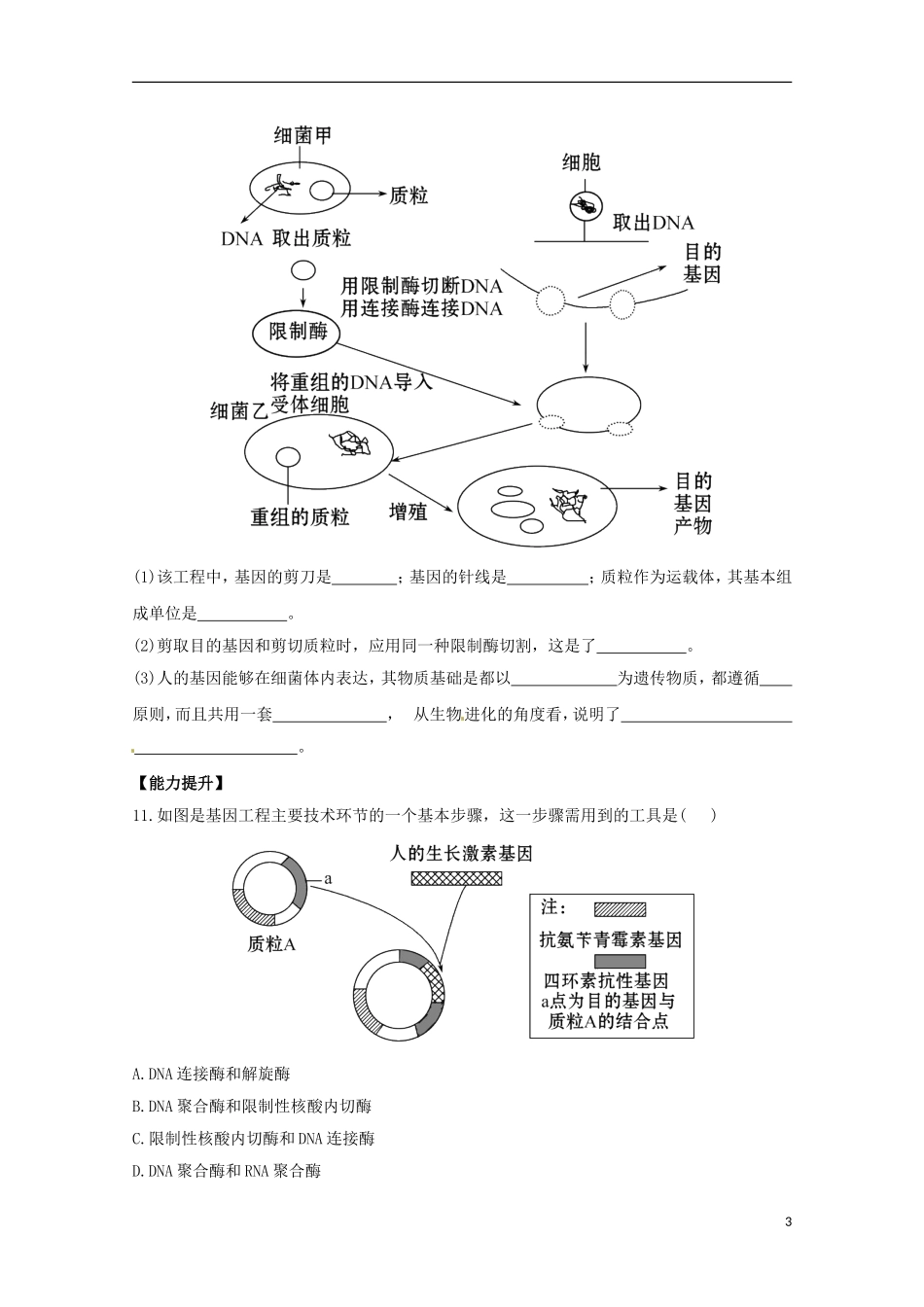 （导学讲连通）2013高中生物 第6章 从杂交育种到基因工程分层达标训练4（含解析）新人教版必修2_第3页