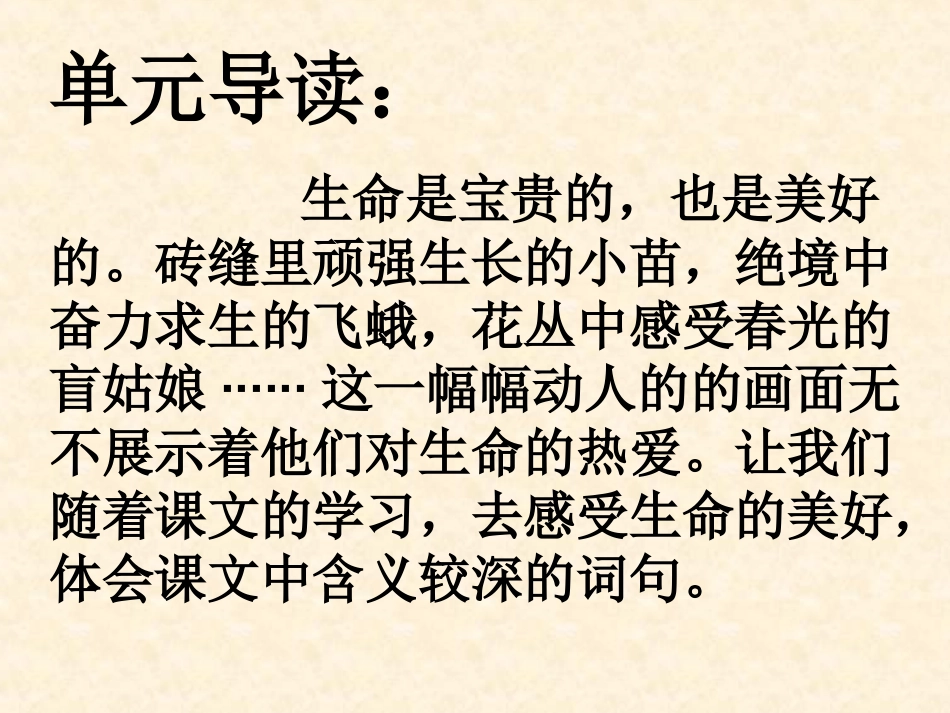 《触摸春天》课件1_第1页