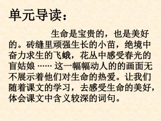《触摸春天》课件1