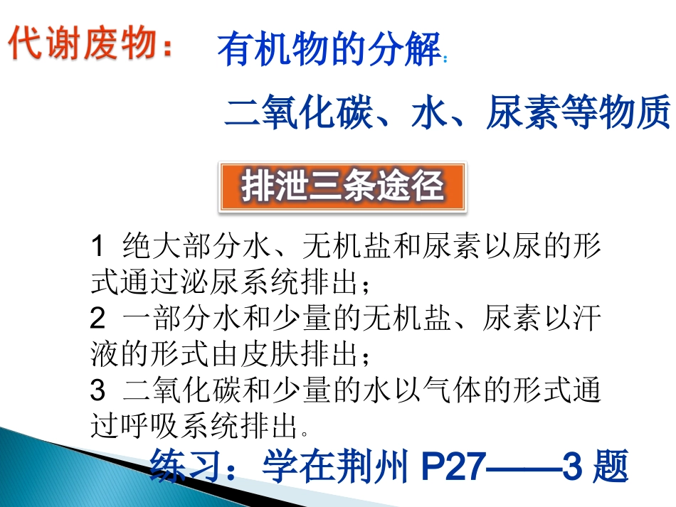 2015人体内废物的排出(复习课件) (2)_第2页