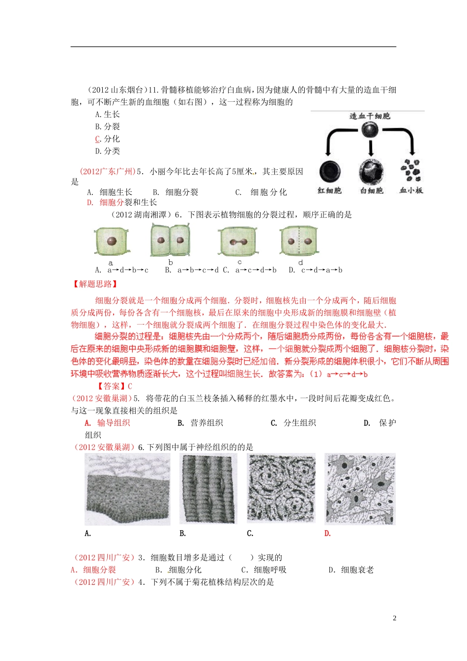 2013年中考生物学业水平专题练习与解析 分裂分化、结构层次_第2页