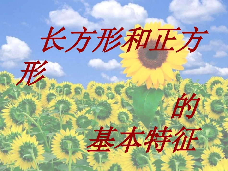 长方形和正方形的基本特征_第1页