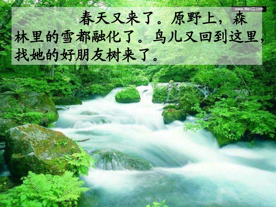 《去年的树》课件_第2页