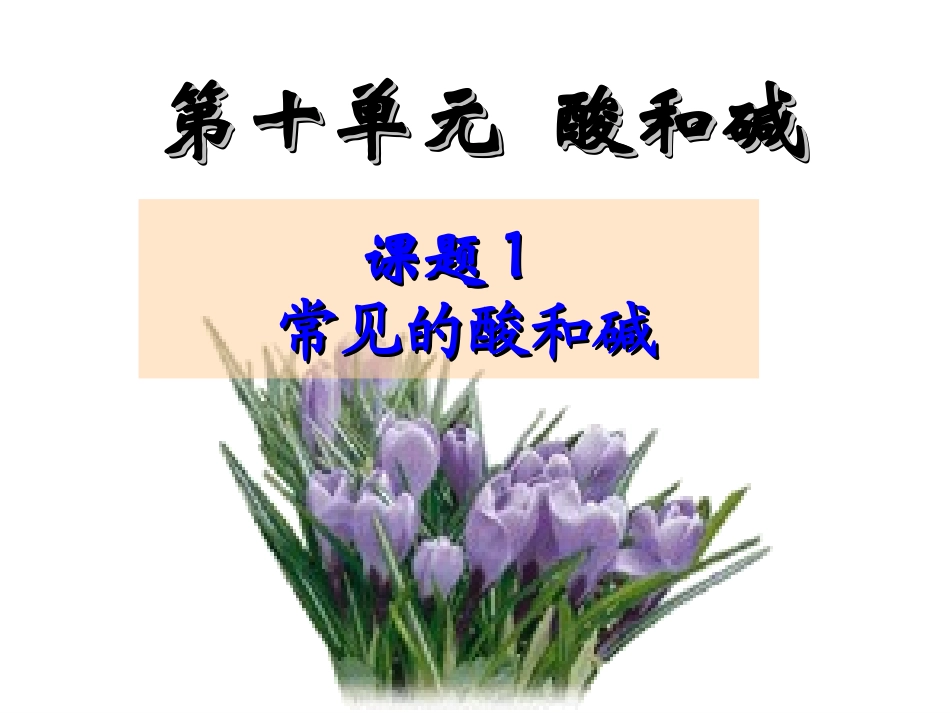 课题101常见的酸和碱_第1页