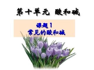 课题101常见的酸和碱
