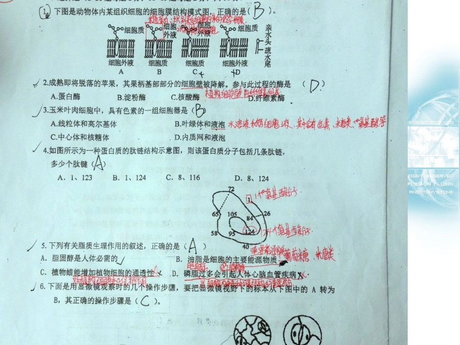 《细胞核与原核生物》_第1页
