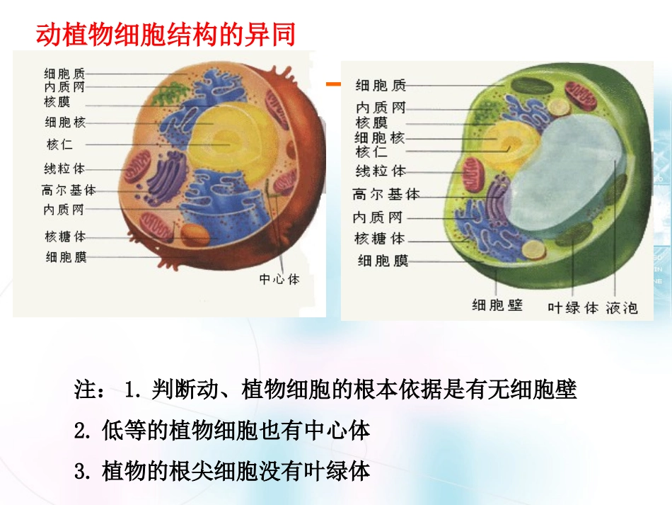 《细胞核与原核生物》_第3页