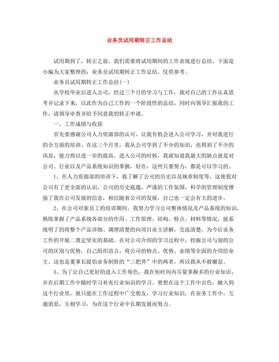 业务员试用期转正工作总结_第1页