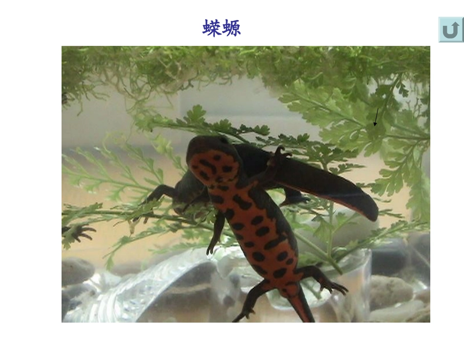 《细胞核和原核生物_第3页