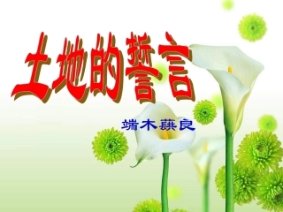 《土地的誓言》课件