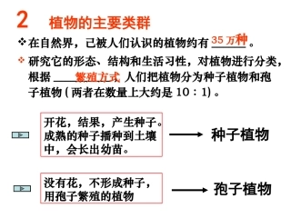 植物的主要类群