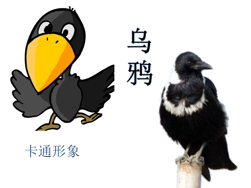 《乌鸦喝水》正式版（魁丽芳）_第2页