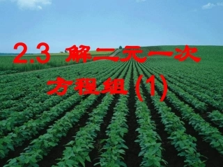 解二元一次方程组()