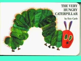 虫儿慢慢向前爬