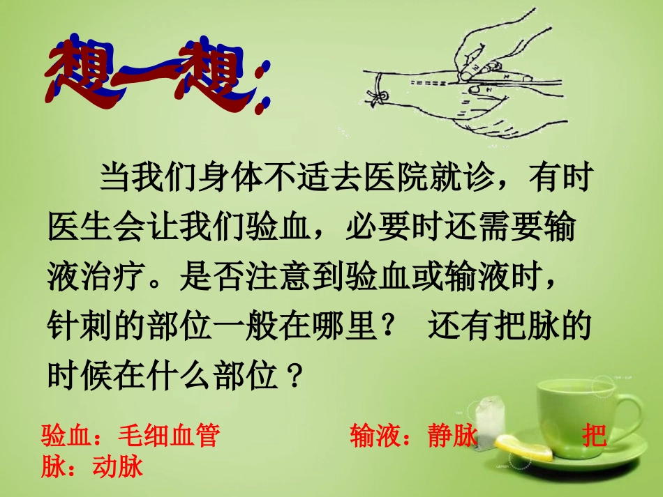 河北省安国市实验中学七年级生物下册第四章第二节血流的管道_血管课件新版新人教版_第2页