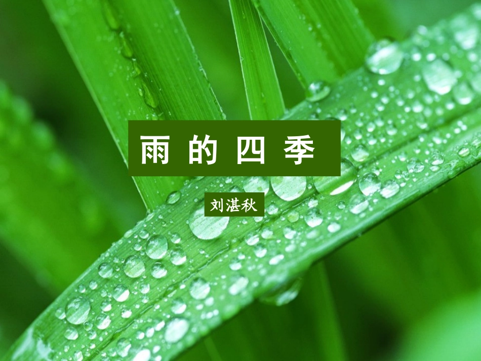 雨的四季 (2)_第1页