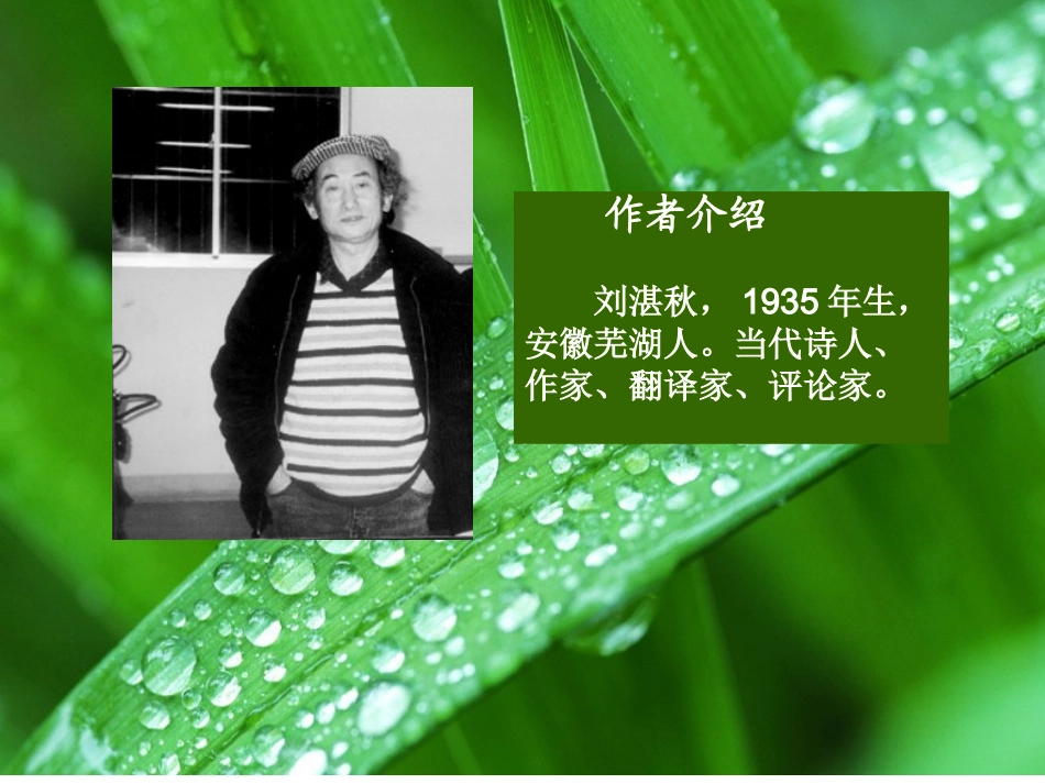 雨的四季 (2)_第3页