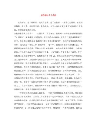 宣传部长个人总结