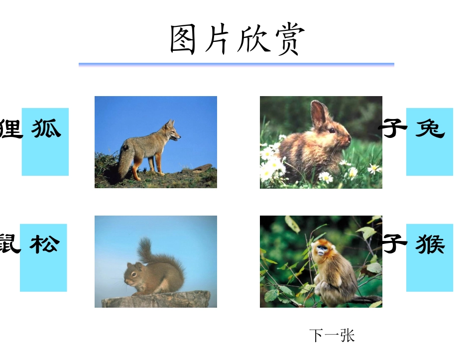 酸的和甜的教学课件 _第3页