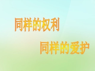 浙江省宁波市慈城中学八年级政治下册2.3.2同样的权利同样的关爱课件新人教版
