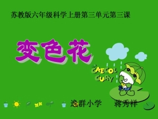 苏教版科学六年级上册《变色花》