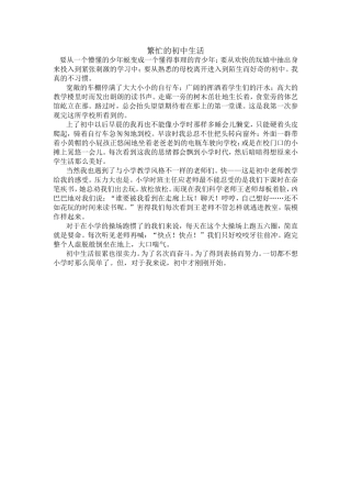 繁忙的初中生活
