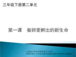 第1课、蚕卵里孵出的新生命