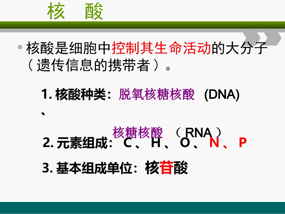 第一章三节-蛋白质_第3页