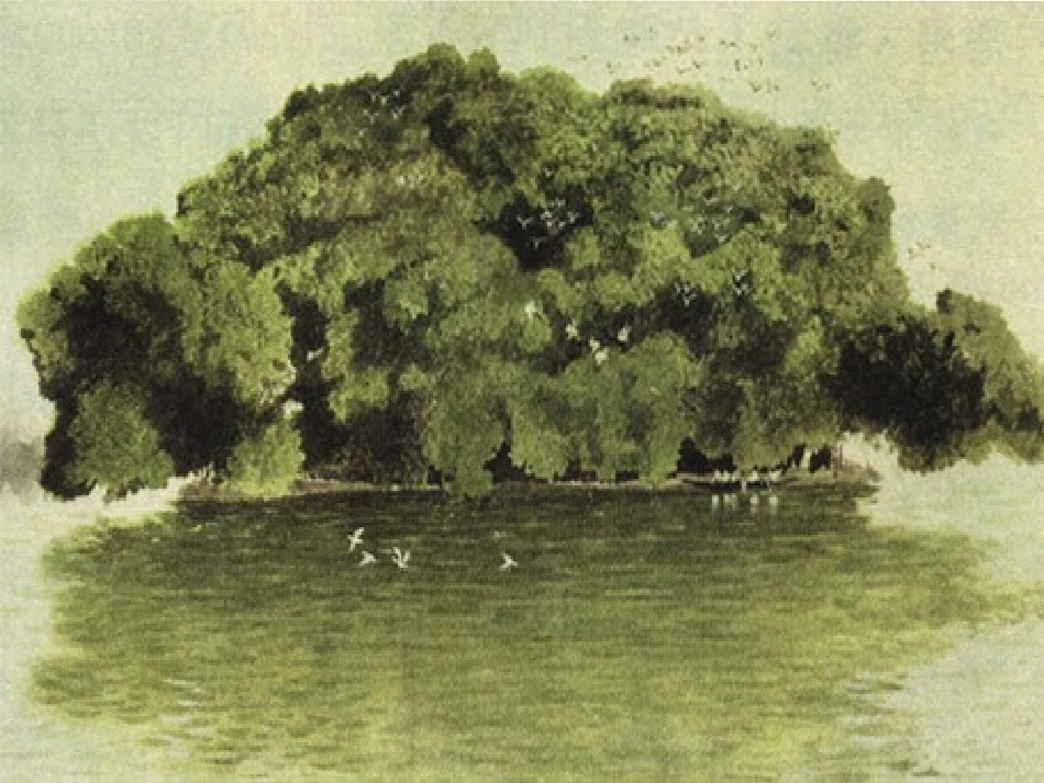 鸟的天堂 (2)_第3页