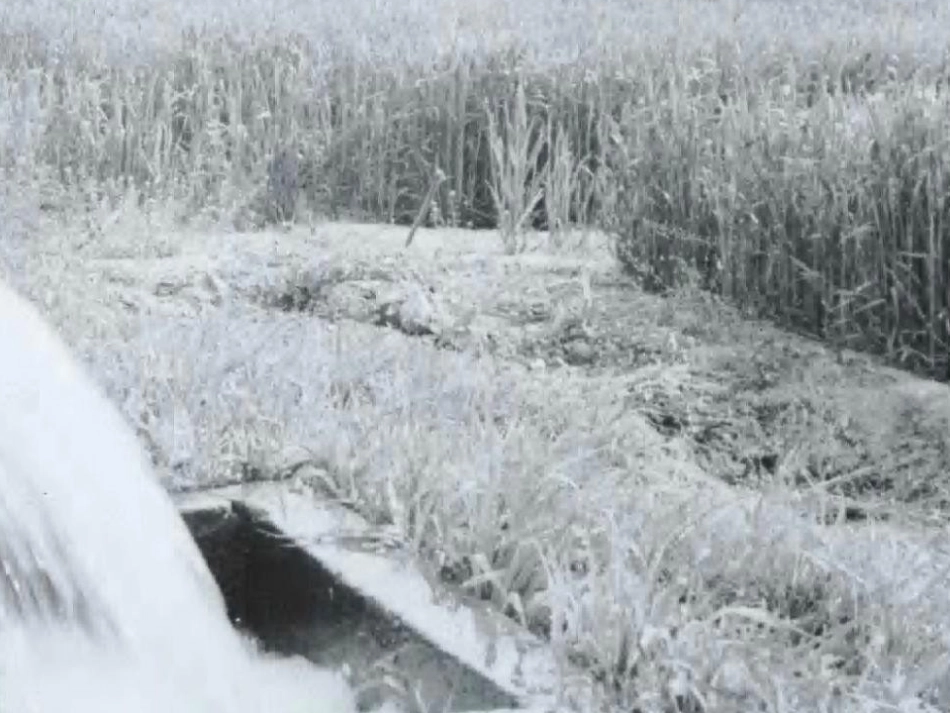 人教版语文二上34《农业的变化真大》课件(5)_第2页