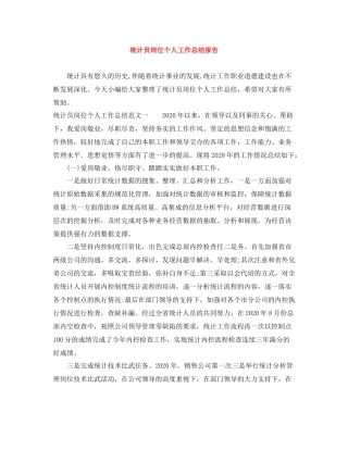 统计员岗位个人工作总结报告