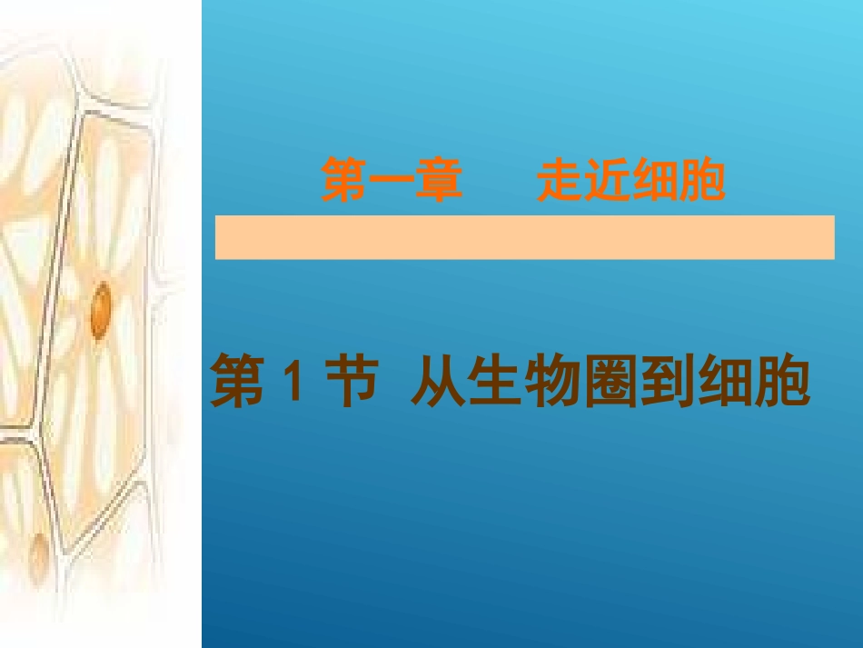 《从生物圈到细胞》课件（1）_第1页