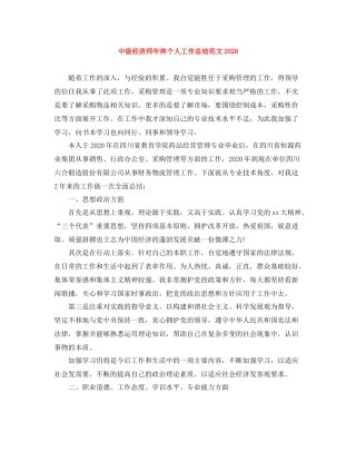 中级经济师年终个人工作总结范文2