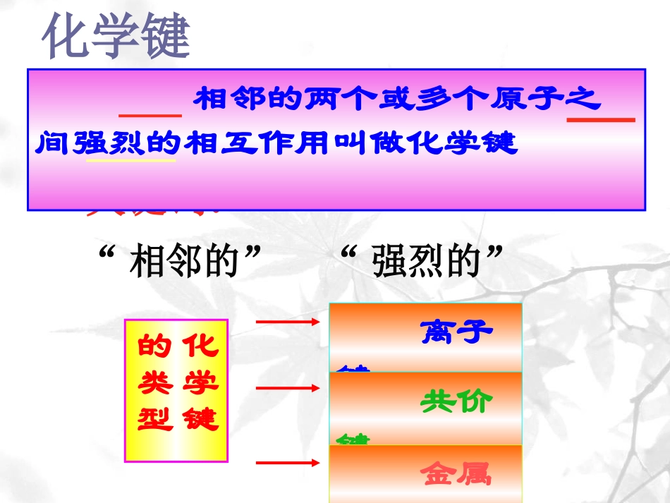 化学键（2课时）_第2页