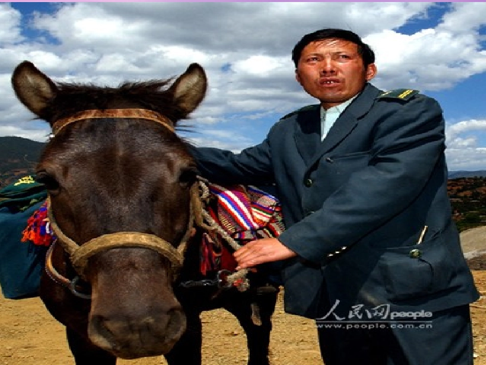 信客课件新人教版 _第1页