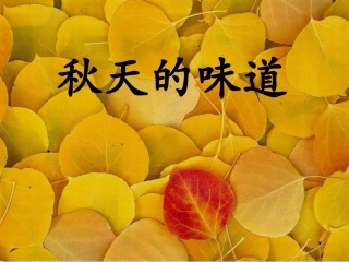 秋天的味道 (2)