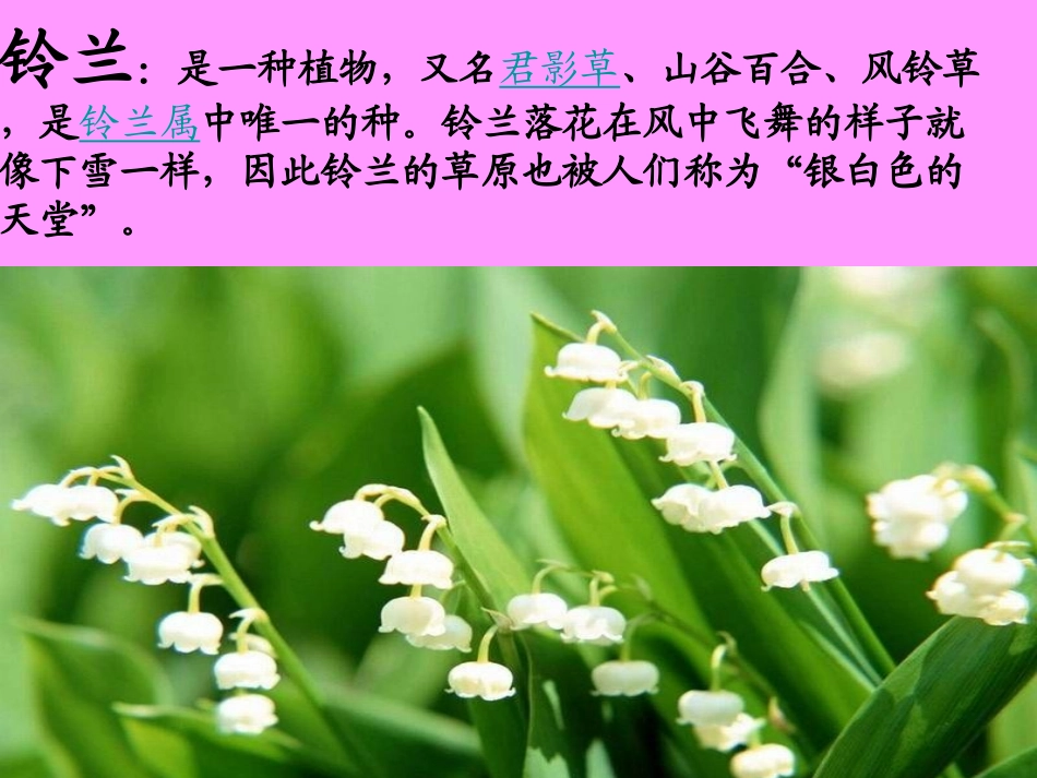 我不是最弱小_第3页