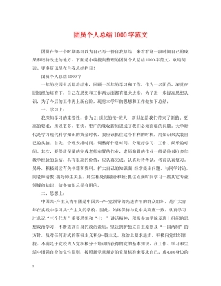 团员个人总结1000字范文