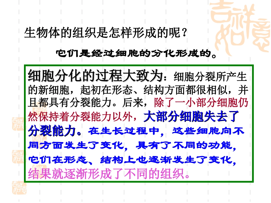 第四章第二节细胞的分化_第3页