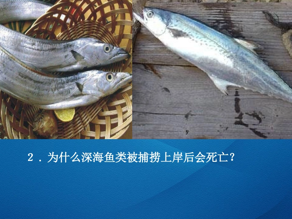 2013年最新人教版物理八年级下册第九章第二节液体压强课件0_第2页