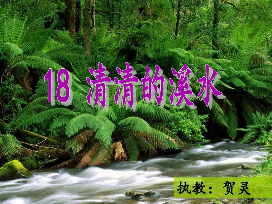 清清的溪水（课件）_第1页