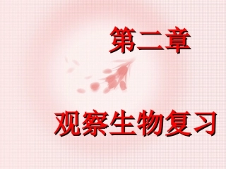 浙教版-初一科学-第二章观察生物复习