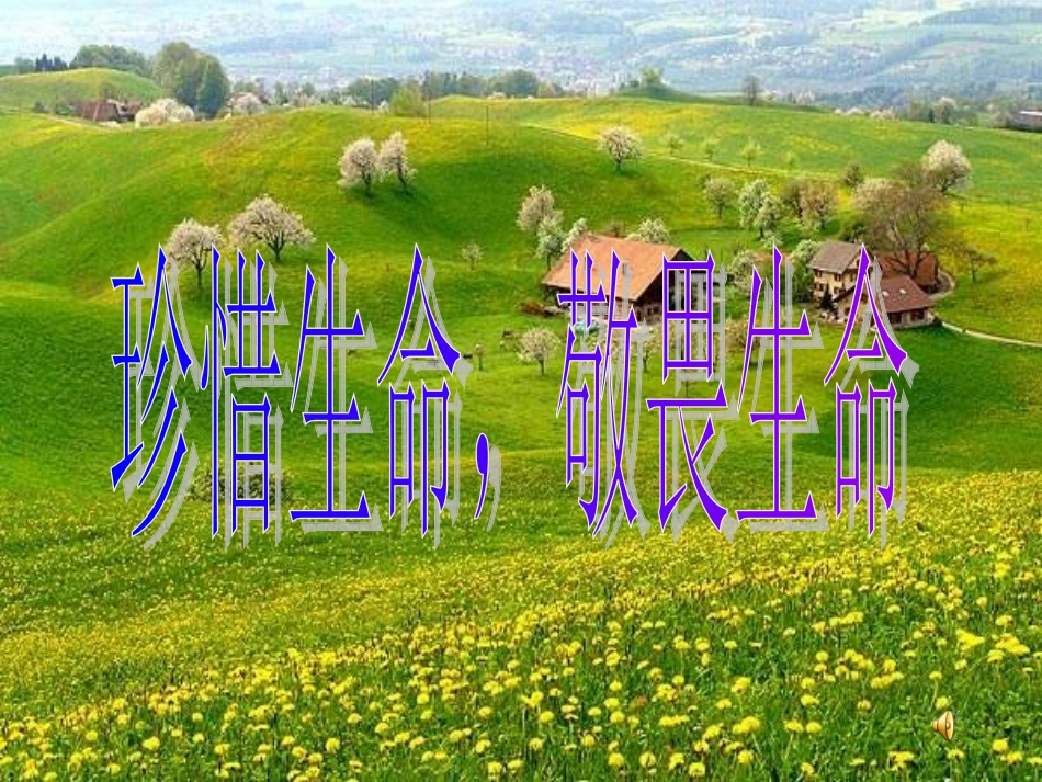 斑羚飞渡课件_第1页